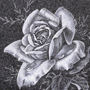 hand etchings rose